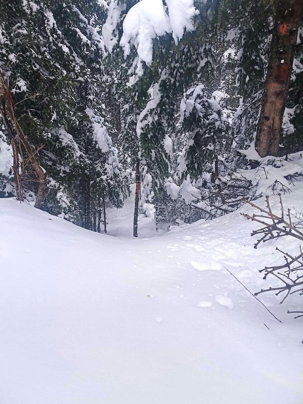 Evritania Snow Trail 2025: Άνοιξαν οι εγγραφές – Όσα πρέπει να γνωρίζετε! runbeat.gr